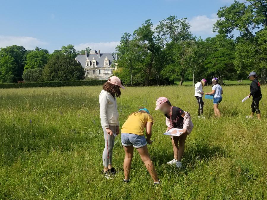 Promenade dans les prairies du domaine de Chadieu, avec la b&acirc;tisse au loin